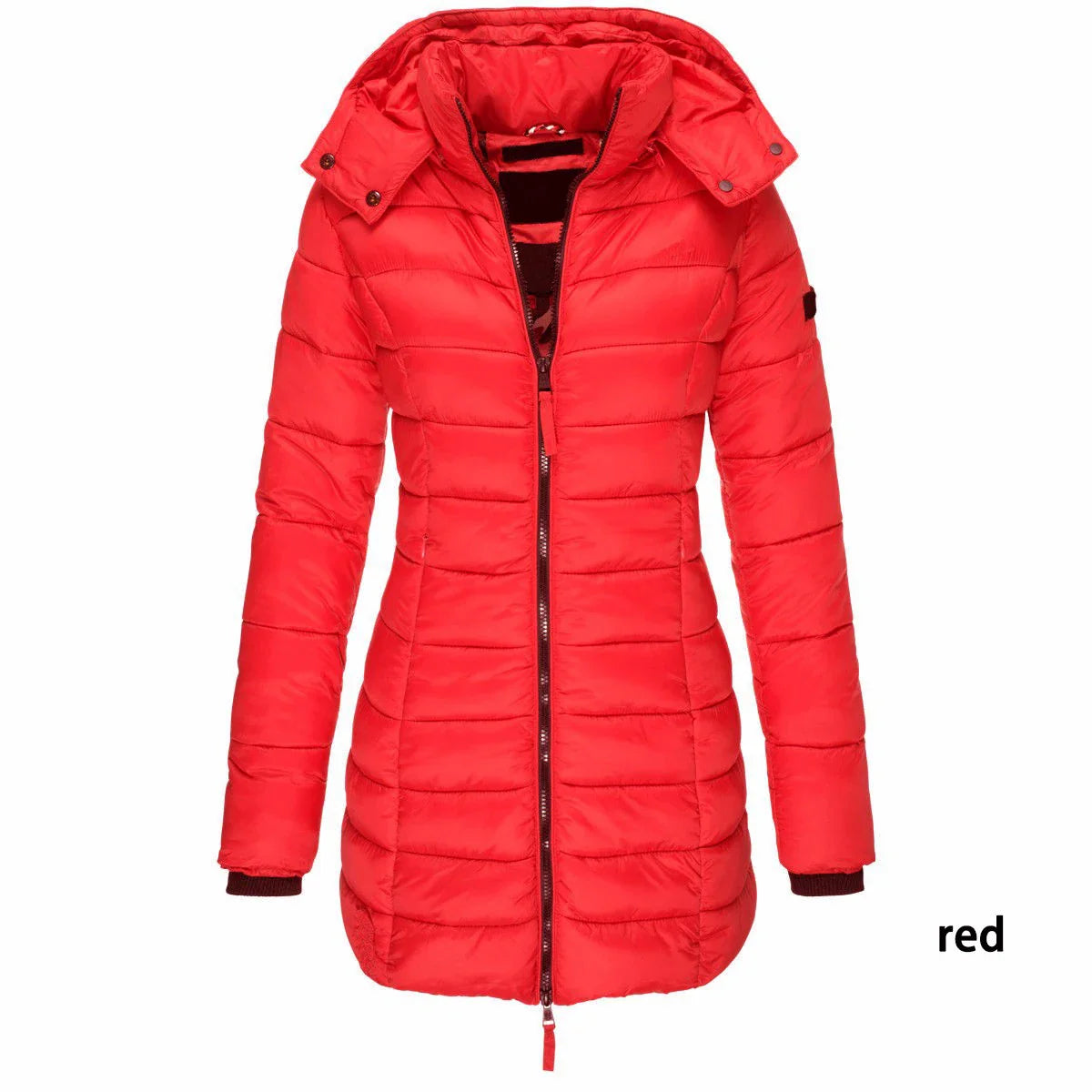 Womens Padded  Zipper Jacket | Hooded Cotton Long Sleeve Parka Coat